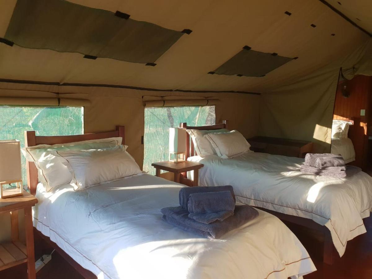 Kelora Bush Camp Hotel Hoedspruit Exterior photo